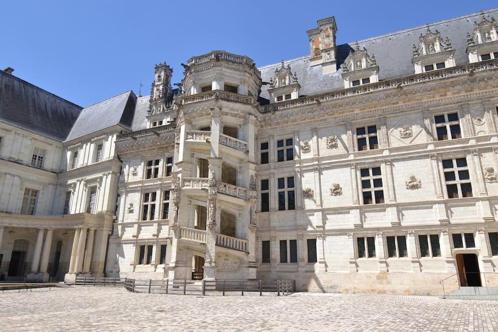 La Quintessence - Amboise Hypercentre Apartment Екстериор снимка
